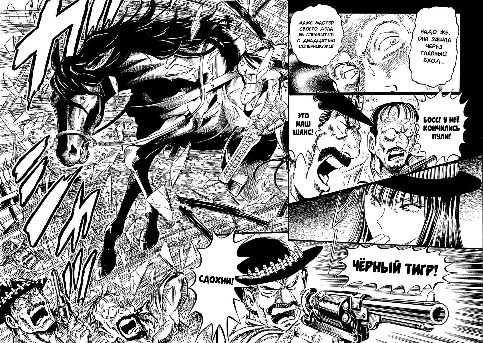 Черный Тигр — 1 глава, фрейм 12