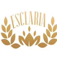 обложка сквада «Esclaria Team»