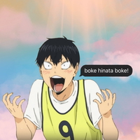 обложка сквада «Hinataboke»