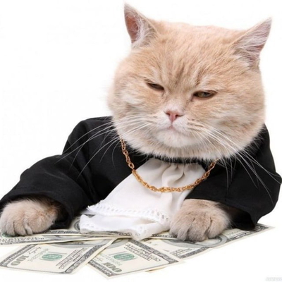 обложка сквада «MoneyLover»