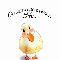 обложка сквада «Самонадеянная утка»