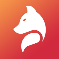 обложка сквада «tfoxs»