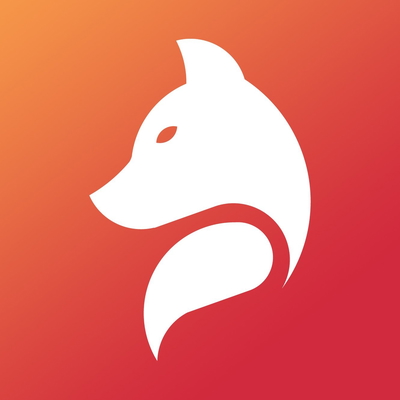 обложка сквада «tfoxs»
